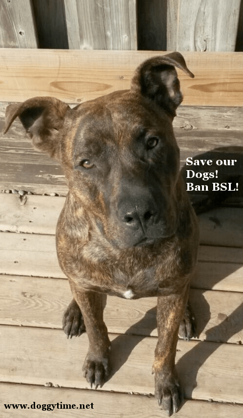 e love crash oct 2015