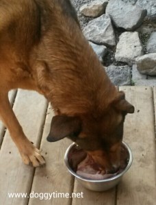 FB HVW TA DDD TWT halo with dinner