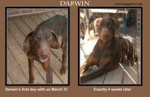 FB KLAWS TA HVW HVN DDS OHDP RDN TWT darwin aprill 28 copy