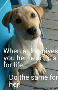 FB CM daisy gives her heart web