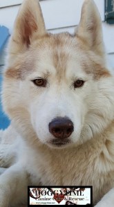 17965838_10158529613600203_246745022_n