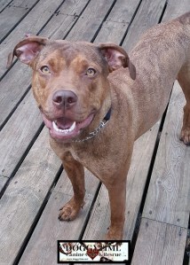 2017 col 21268526_10159237297460203_827485738_n