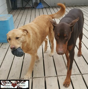 29830612_10160167643930203_1248105619_o