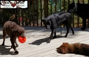 32756137_10160349222420203_3392367639434100736_n