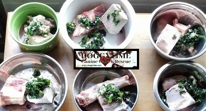 32779073_10160349209760203_2141271222619471872_n