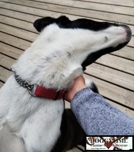 35226953_10160447635005203_313060681601515520_n