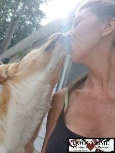 42194288_282570792352474_3636904613203935232_n