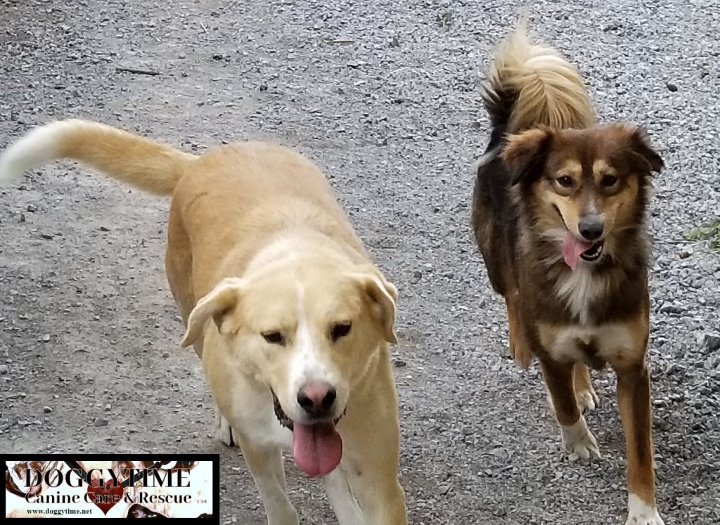 CH 35264717_10160447607415203_4250762642186043392_n