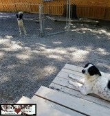 CH34308286_10160404462940203_7077751687401701376_n