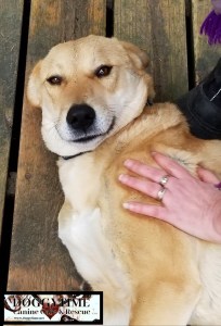 ch49717399_284722035578121_3480094751636586496_n