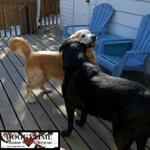 col 17141819_10158304377185203_73167175_n