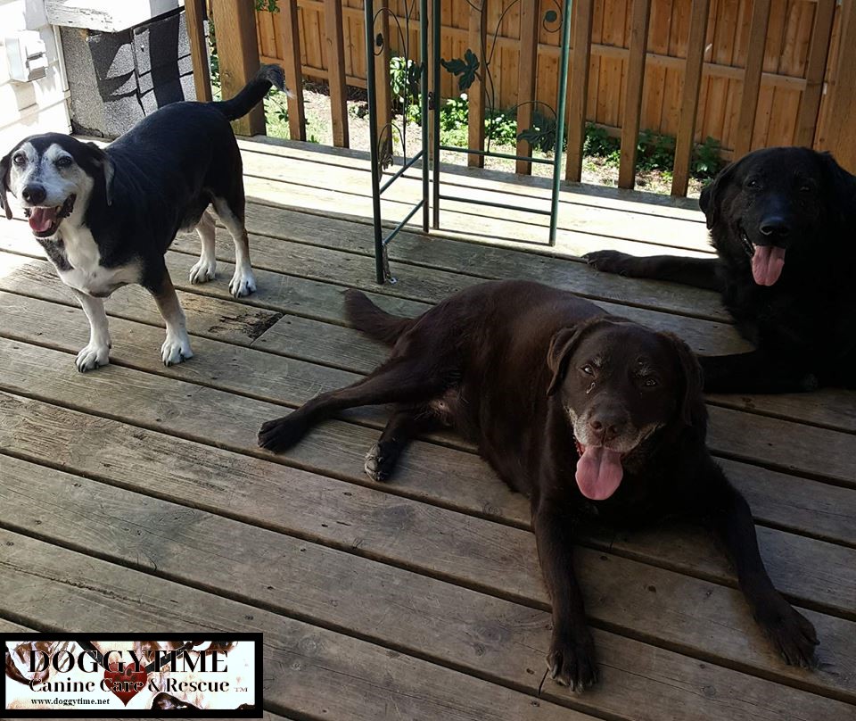 col 19832753_10158933562755203_1031374866_n