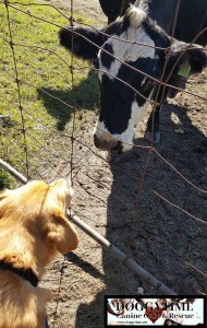 col 22156896_10159374301465203_1333498509_n (2)