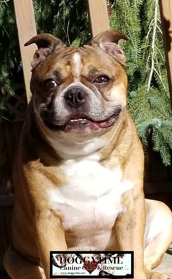 col 42195041_471510946664138_3984779152950558720_n