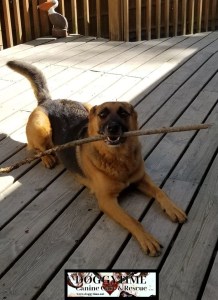 col 42202449_1900026710290885_1936709437913825280_n