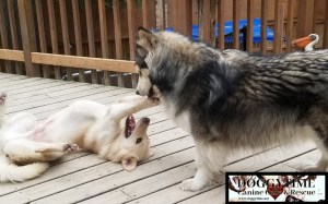 col 49937858_1107193566121249_8630091625684533248_n