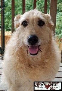 fb 37087820_10160568713765203_3177596872084684800_n