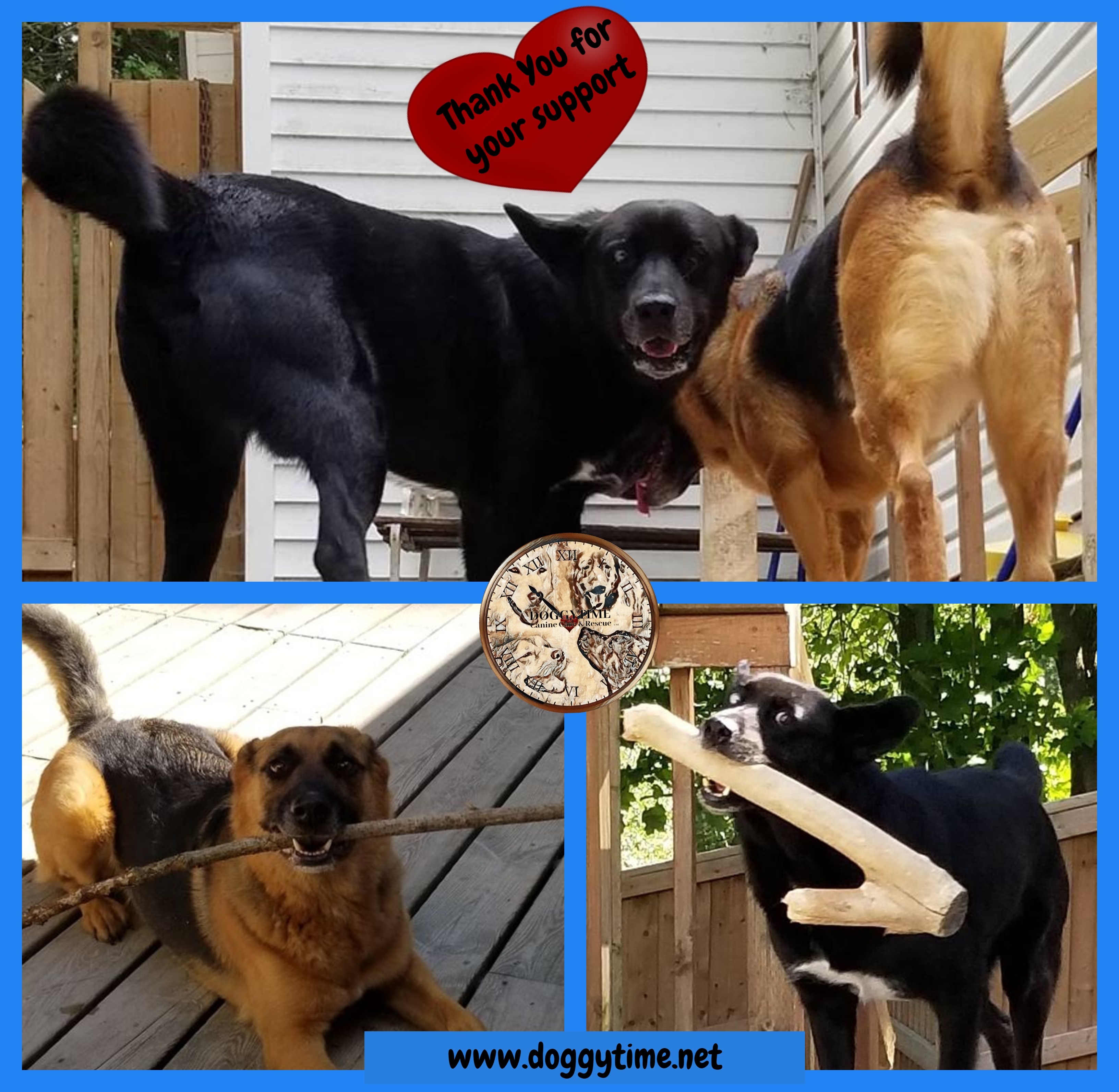 FB Bronx and Lenny ty for supp Fall 2018