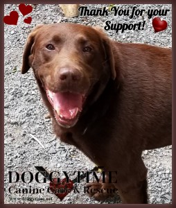 FB Grizzly ty for support Fall 2018