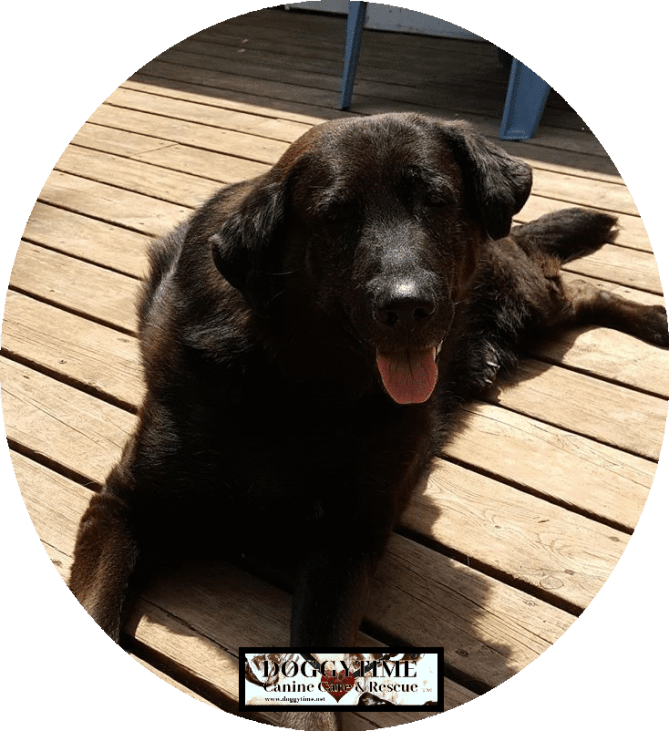 fb imageedit_1_9095774978