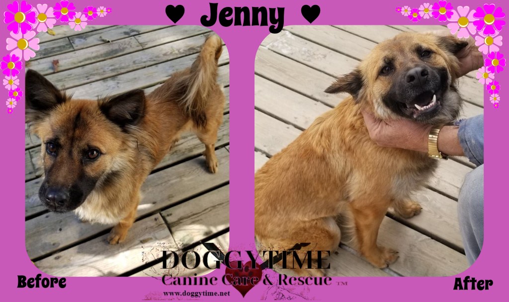 FB Jenny before &amp; after Nov 2018