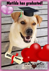 FB Matilda Grad nov 2018