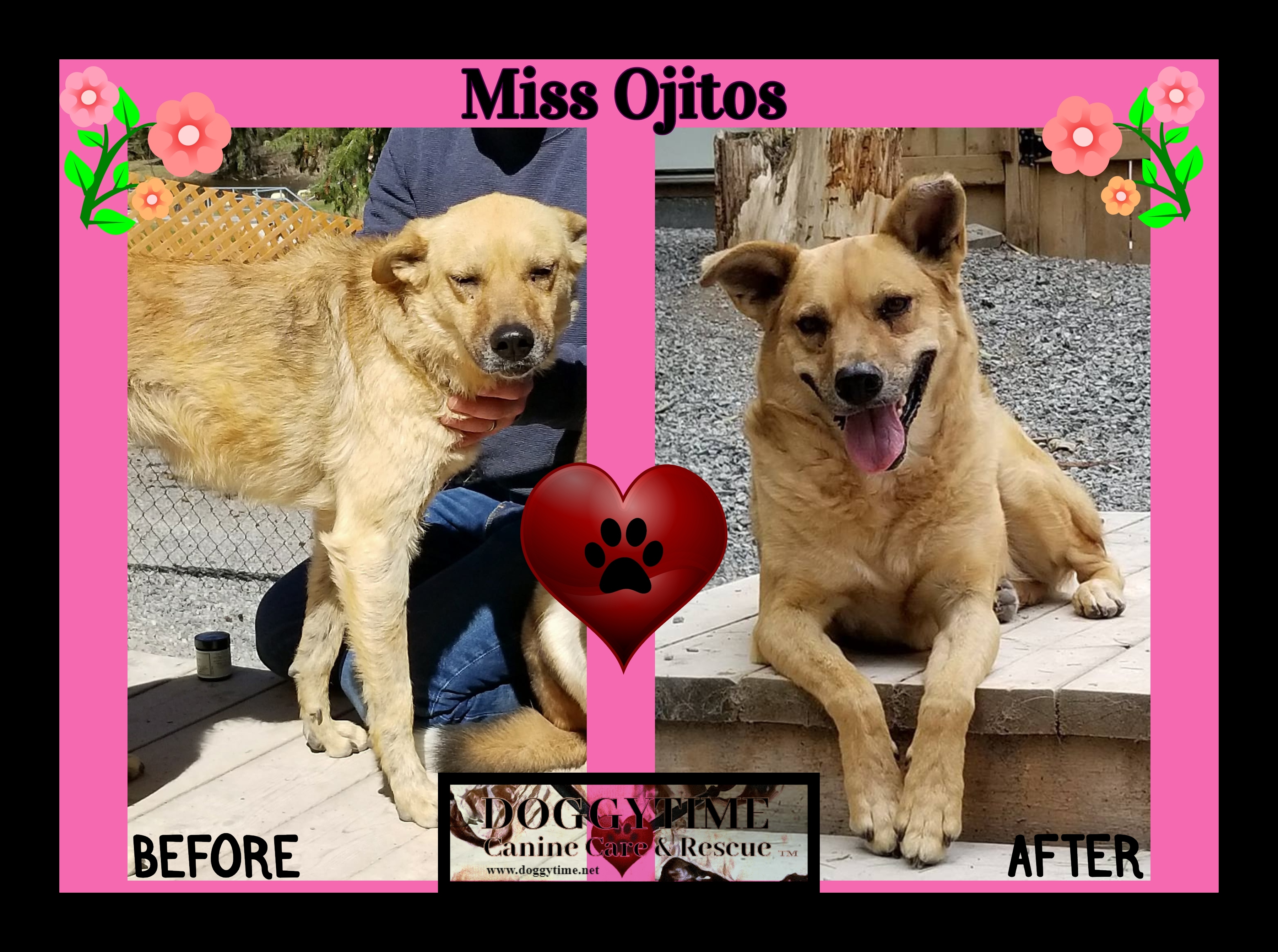 FB Ojitos jun to oct 2018