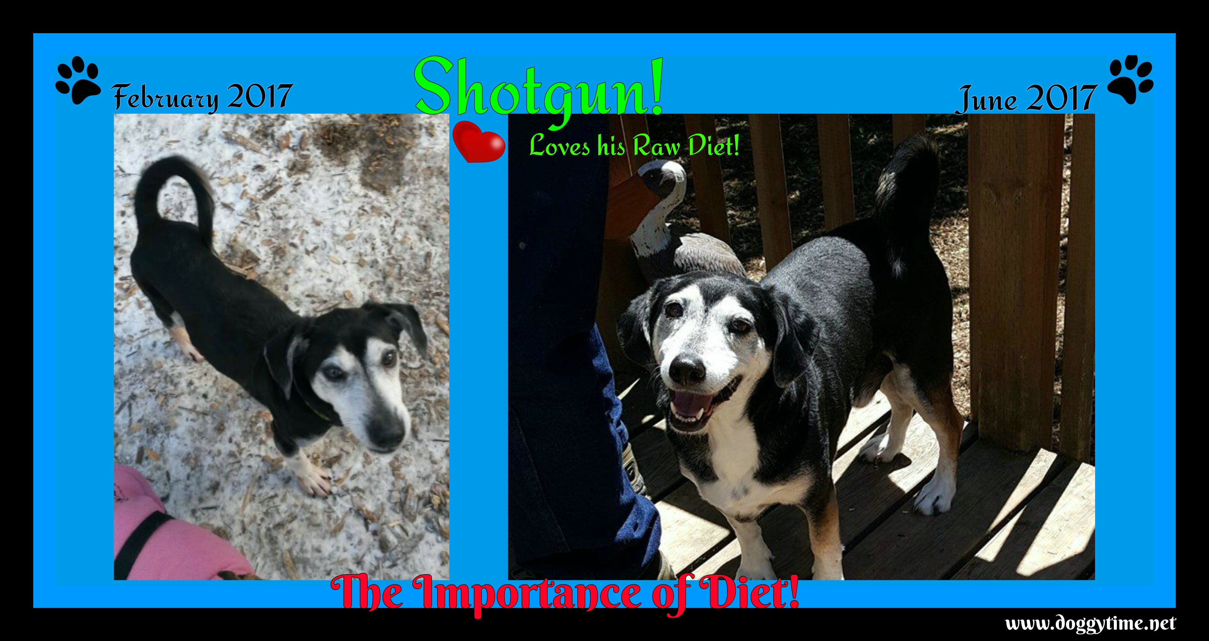 FB Shotgunb4andaftrjun2017