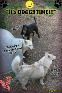 it's doggytime atti, scarlet asher jun 2016