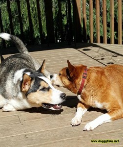 jp Molly and Jack jul 2017