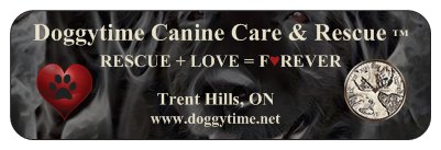 return label trent hills